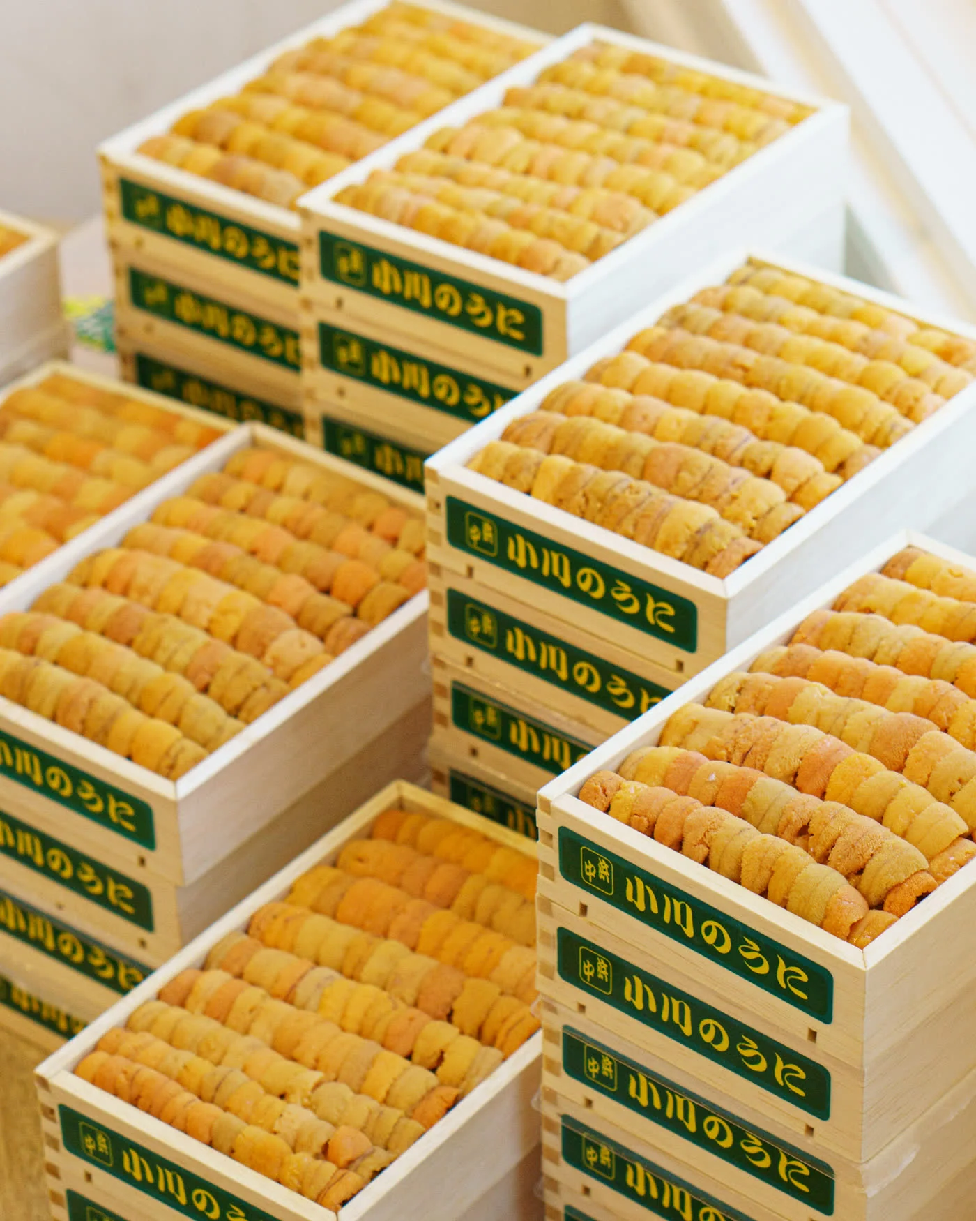 Uni