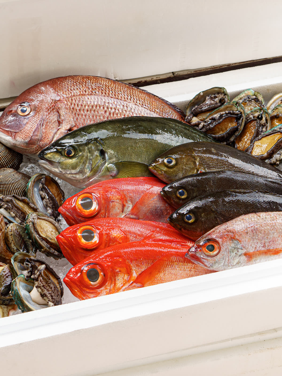 Fresh Seafood
