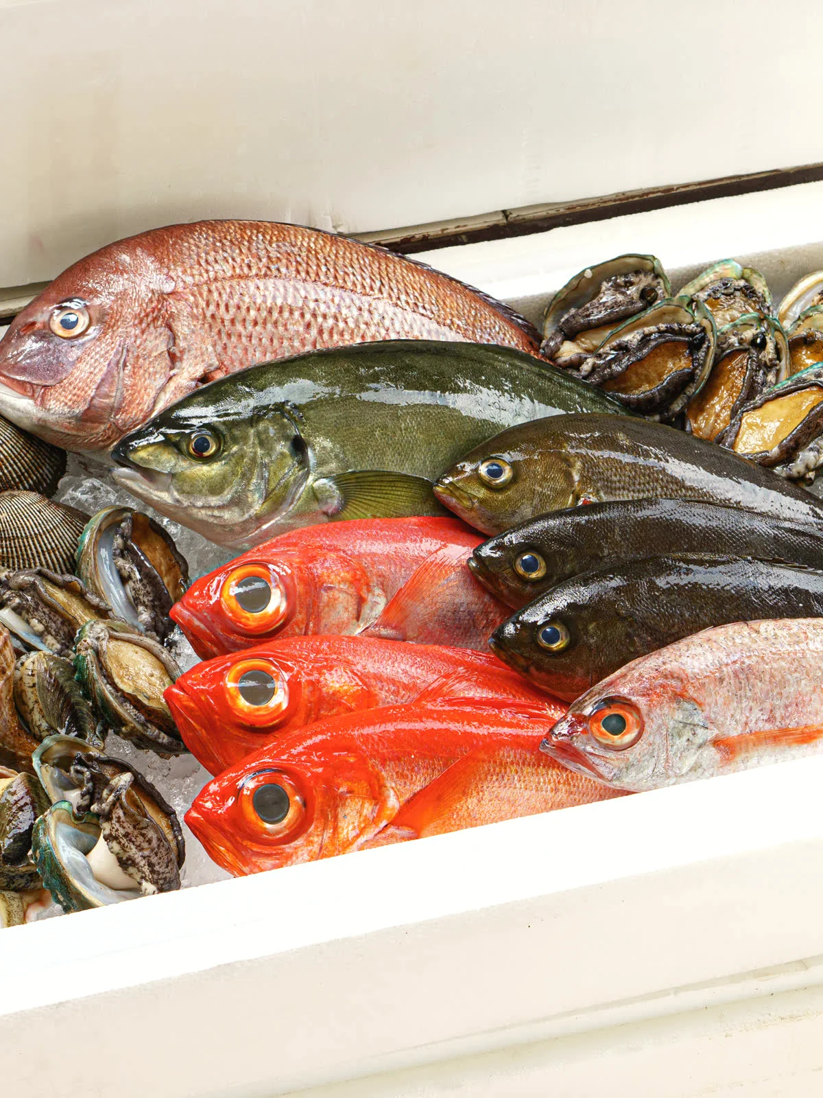 Fresh Seafood