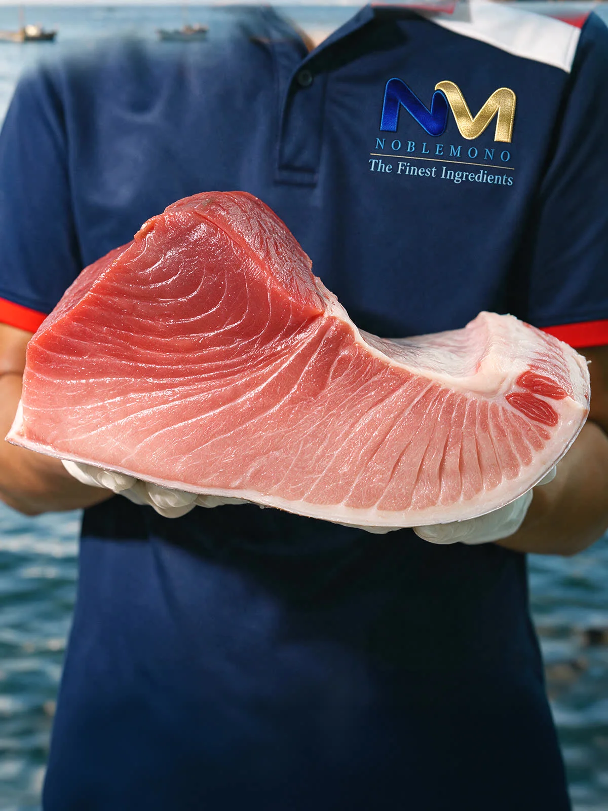 Bluefin Tuna